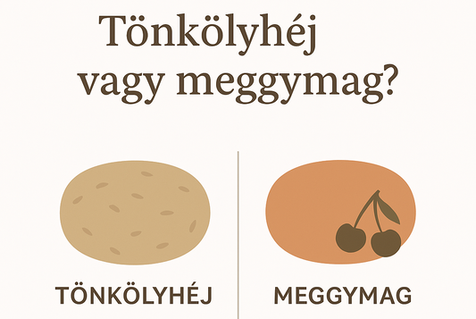 Tönkölyhéj vagy meggymag? – Melyik töltet mit tud?